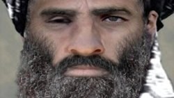Molla Muhammed Ömer