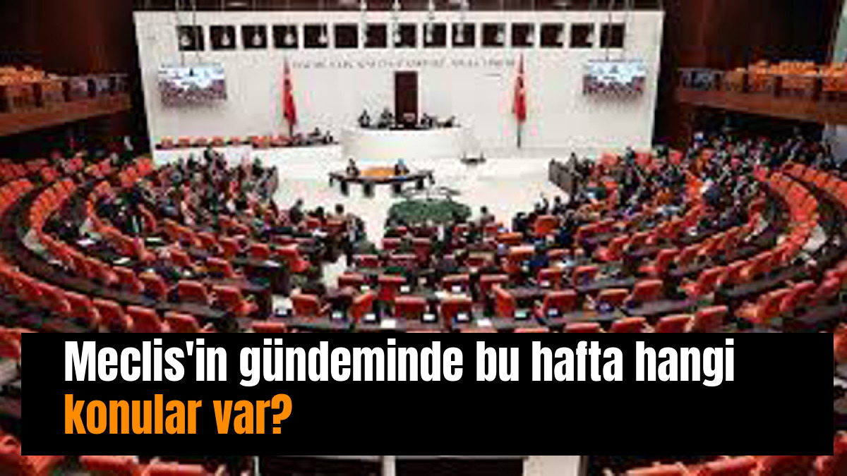 Meclis'in gündeminde bu hafta hangi konular var?