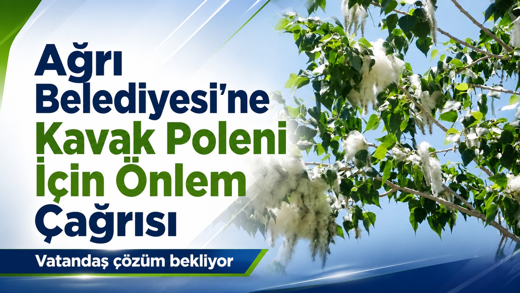 Ağrı Belediyesi’ne Kavak Poleni İçin Önlem Çağrısı