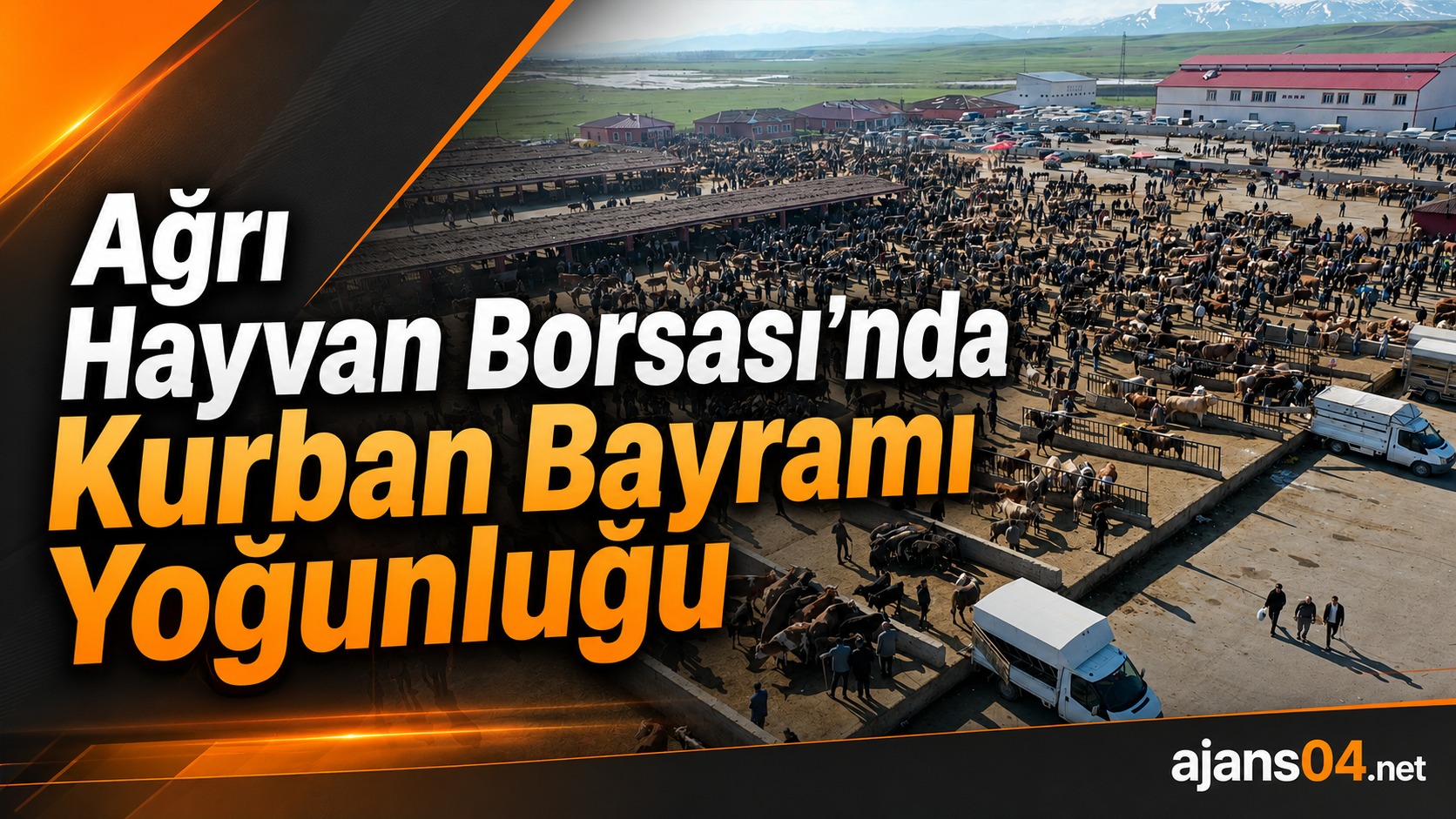 Ağrı Hayvan Borsası’nda Kurban Bayramı Yoğunluğu