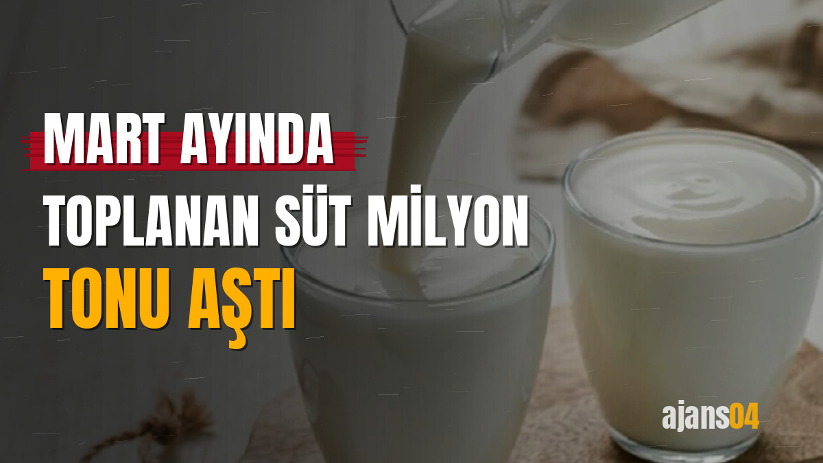 Mart ayında toplanan süt milyon tonu aştı