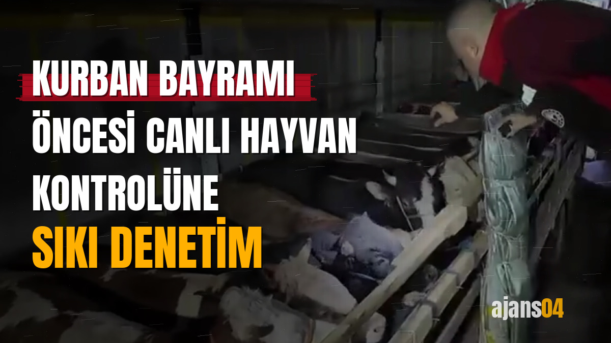 Kurban Bayramı öncesi canlı hayvan kontrolüne sıkı denetim