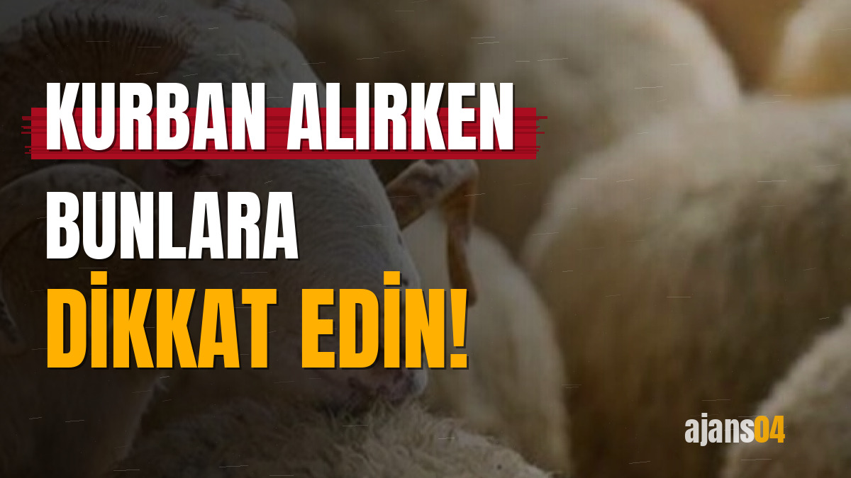 Kurban alırken bunlara dikkat edin!