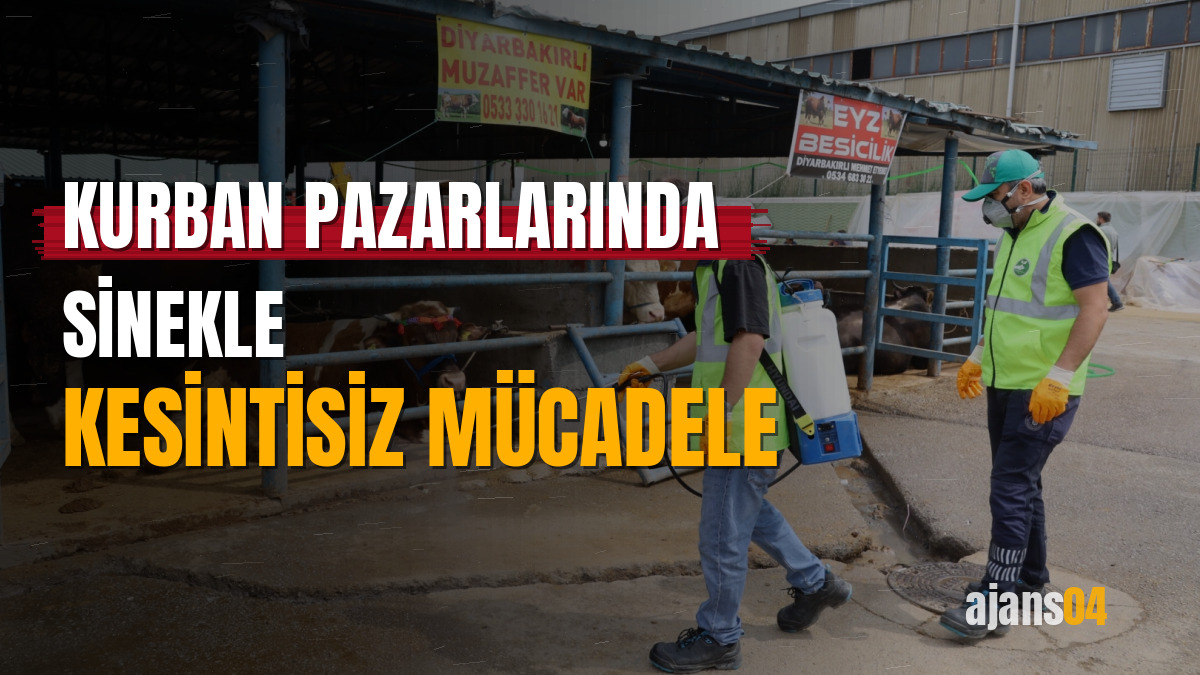Kurban pazarlarında sinekle kesintisiz mücadele