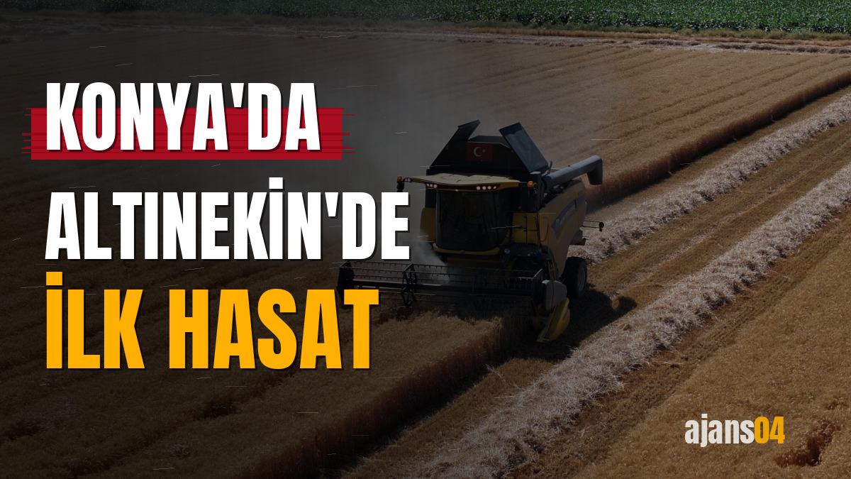 Konya'da Altınekin'de ilk hasat