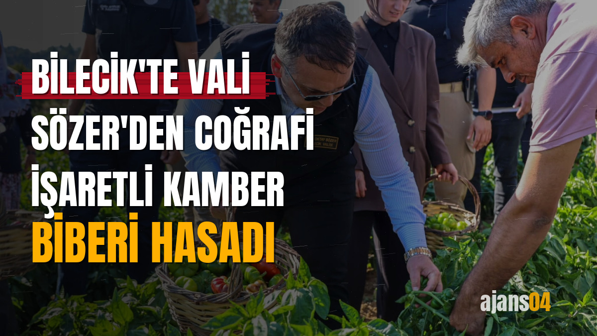 Bilecik'te Vali Sözer'den coğrafi işaretli Kamber Biberi hasadı