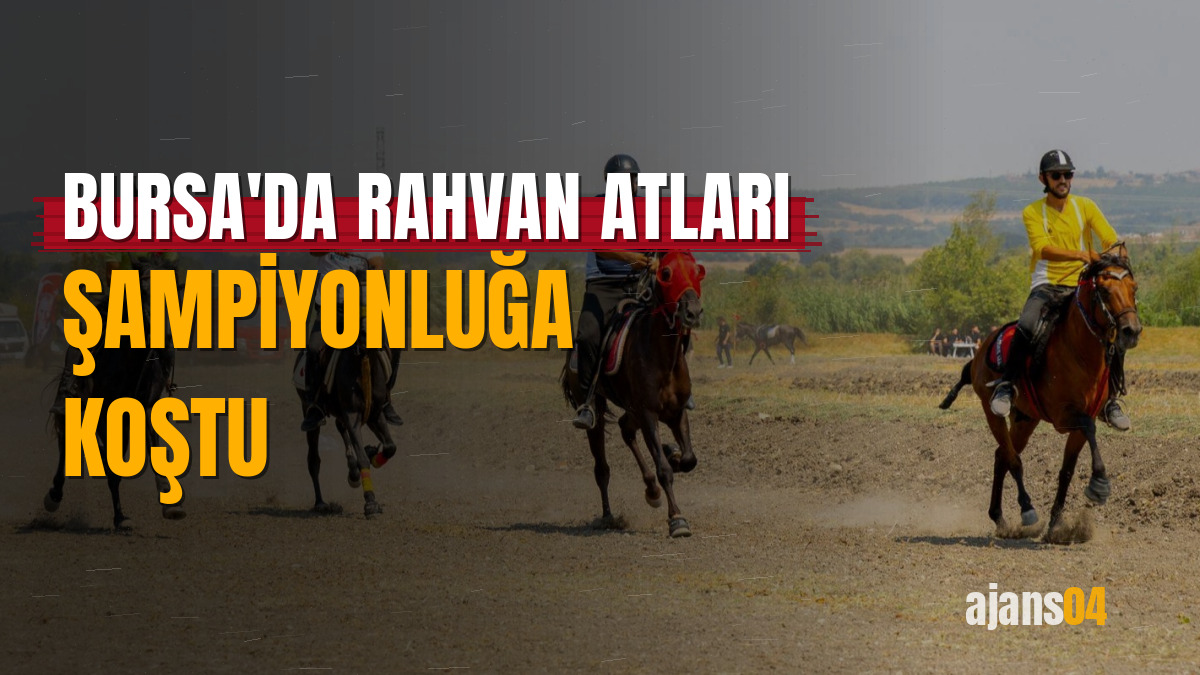 Bursa'da rahvan atları şampiyonluğa koştu