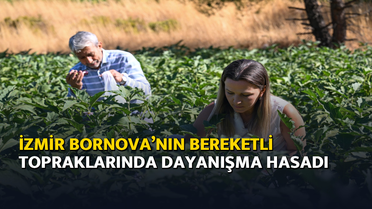 İzmir Bornova’nın bereketli topraklarında dayanışma hasadı
